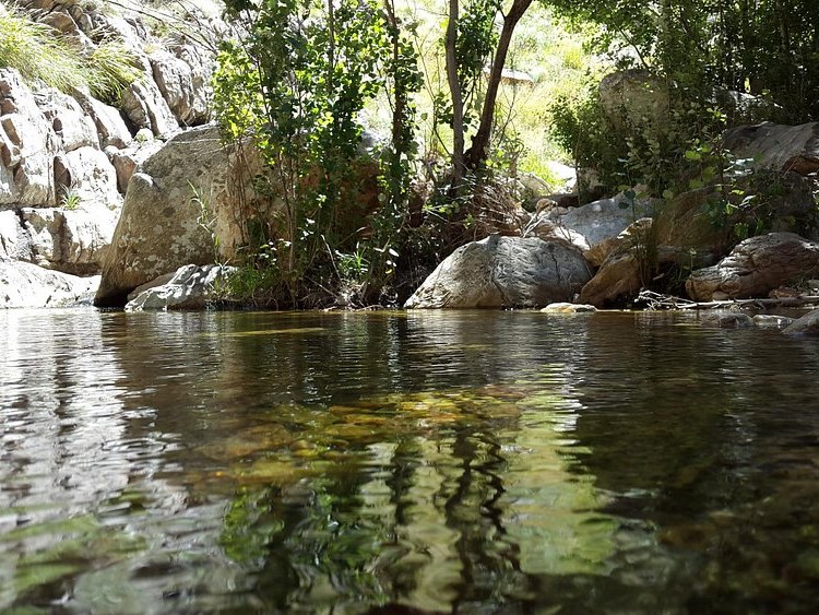 Un arroyo entre las piedras de la sierra